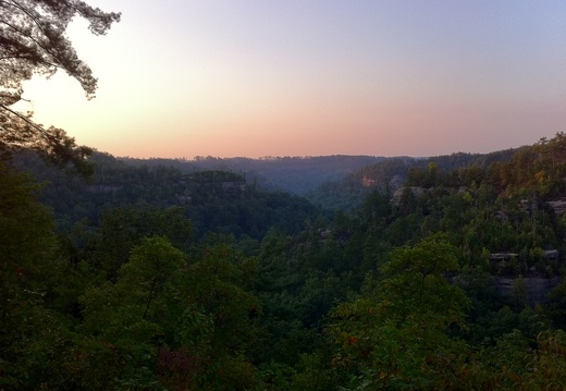 Auxier Ridge, a year after the fire